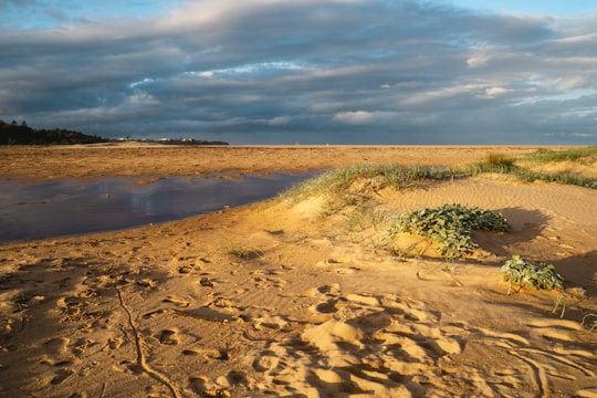 brown sand near green grass field under white clouds and blue sky during daytime in Jervis Bay Australia