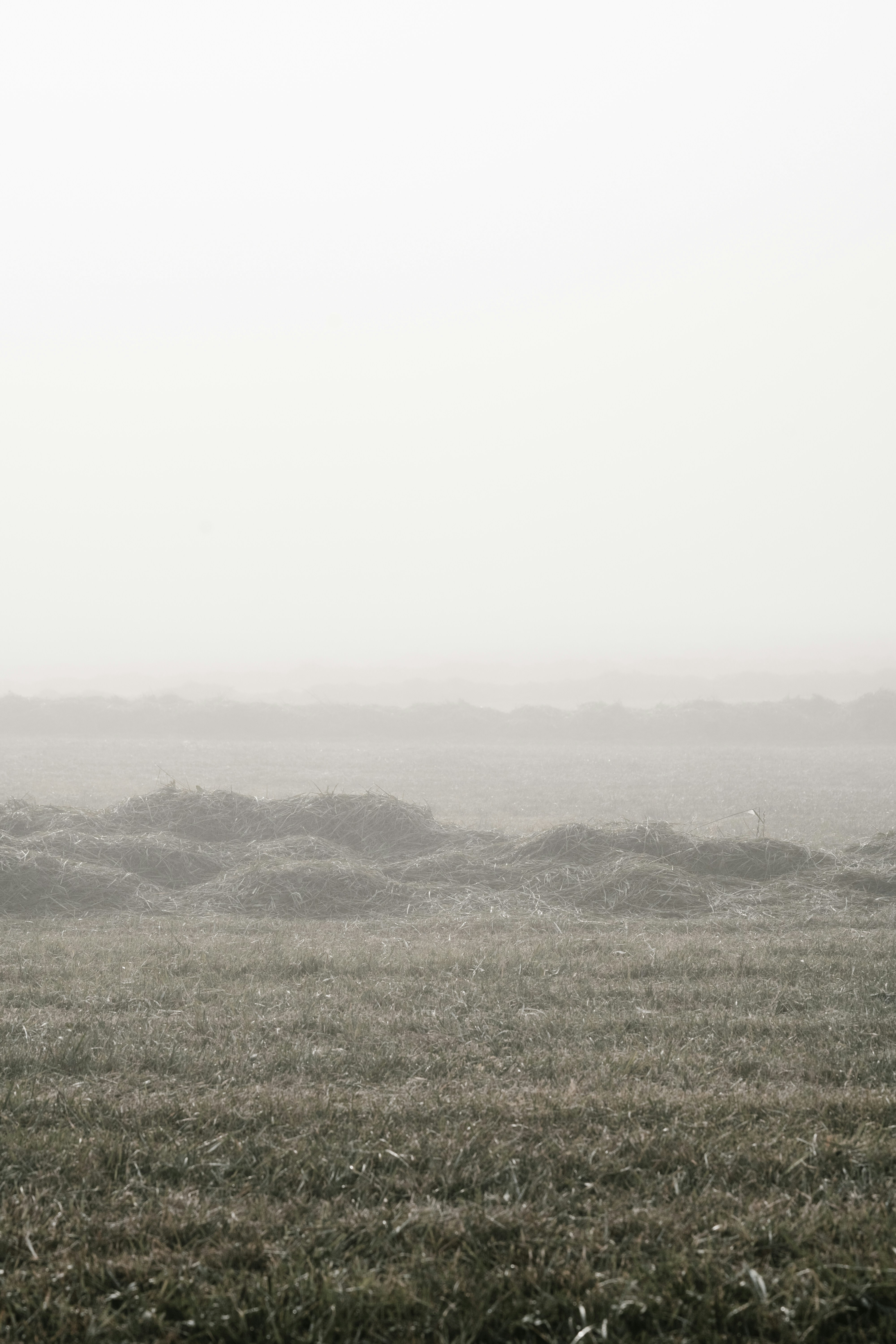 Photo by julianhochgesang