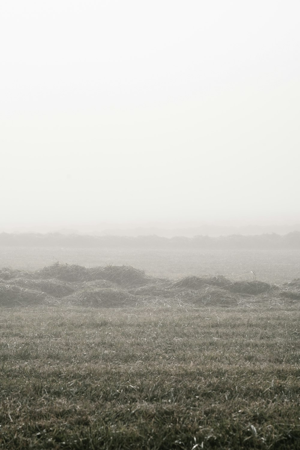 green grass field under white sky during daytime