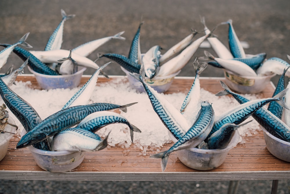 blue and white fish on brown wooden board