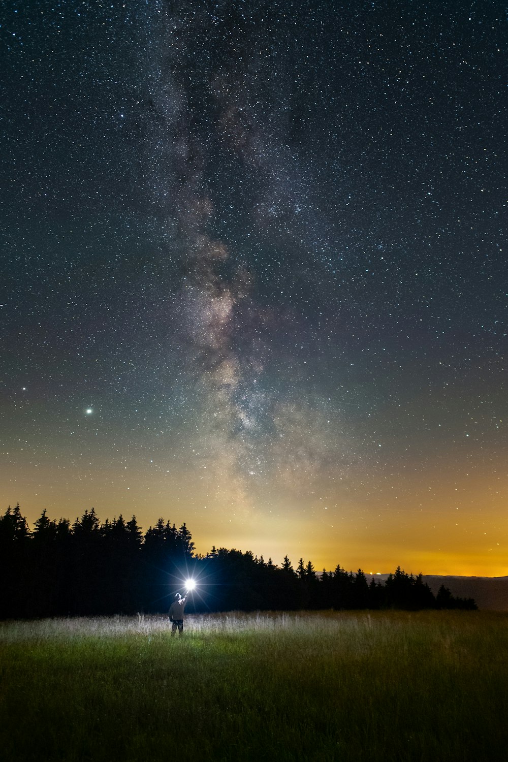 silhouette of trees under starry night