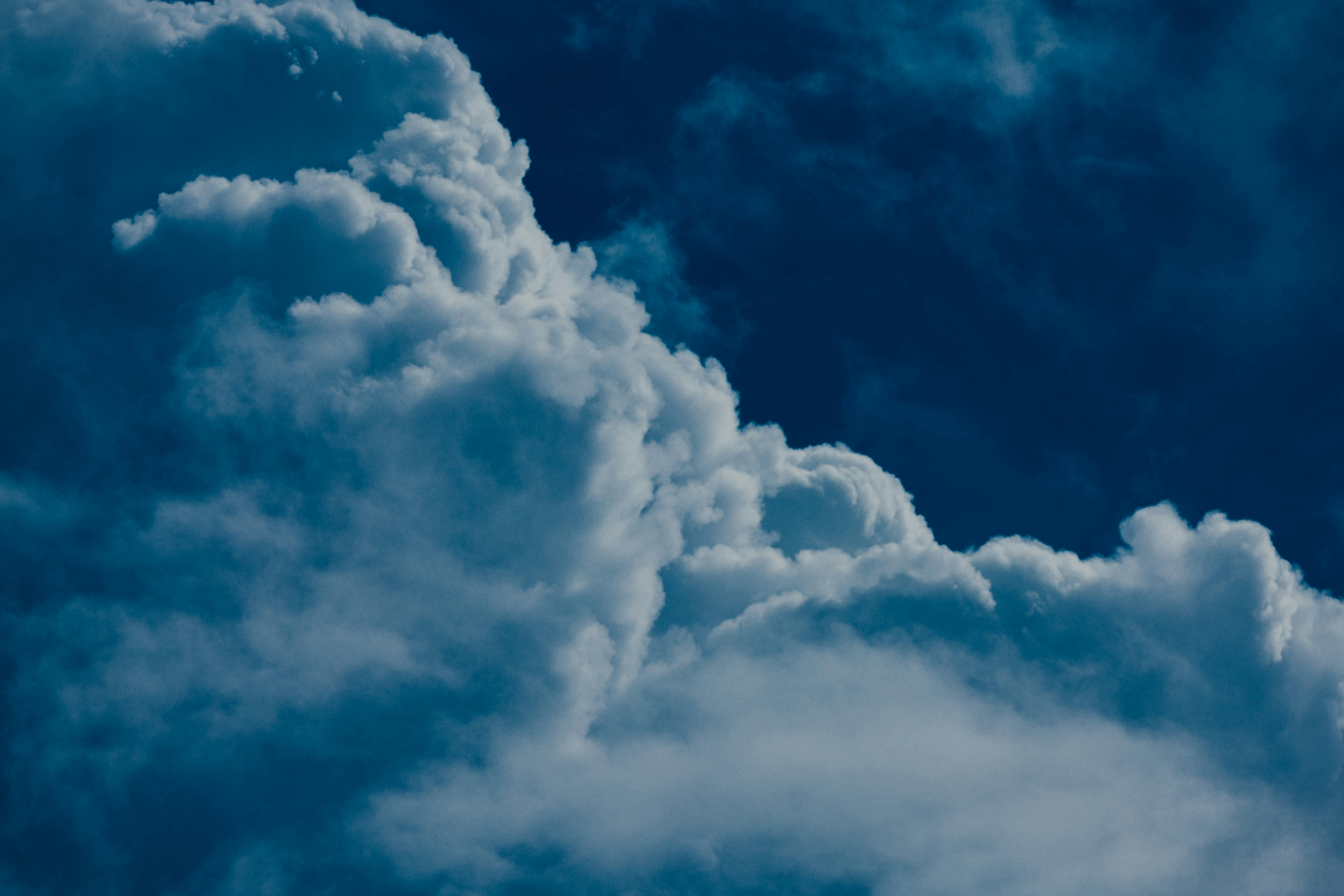 Photo by chuttersnap