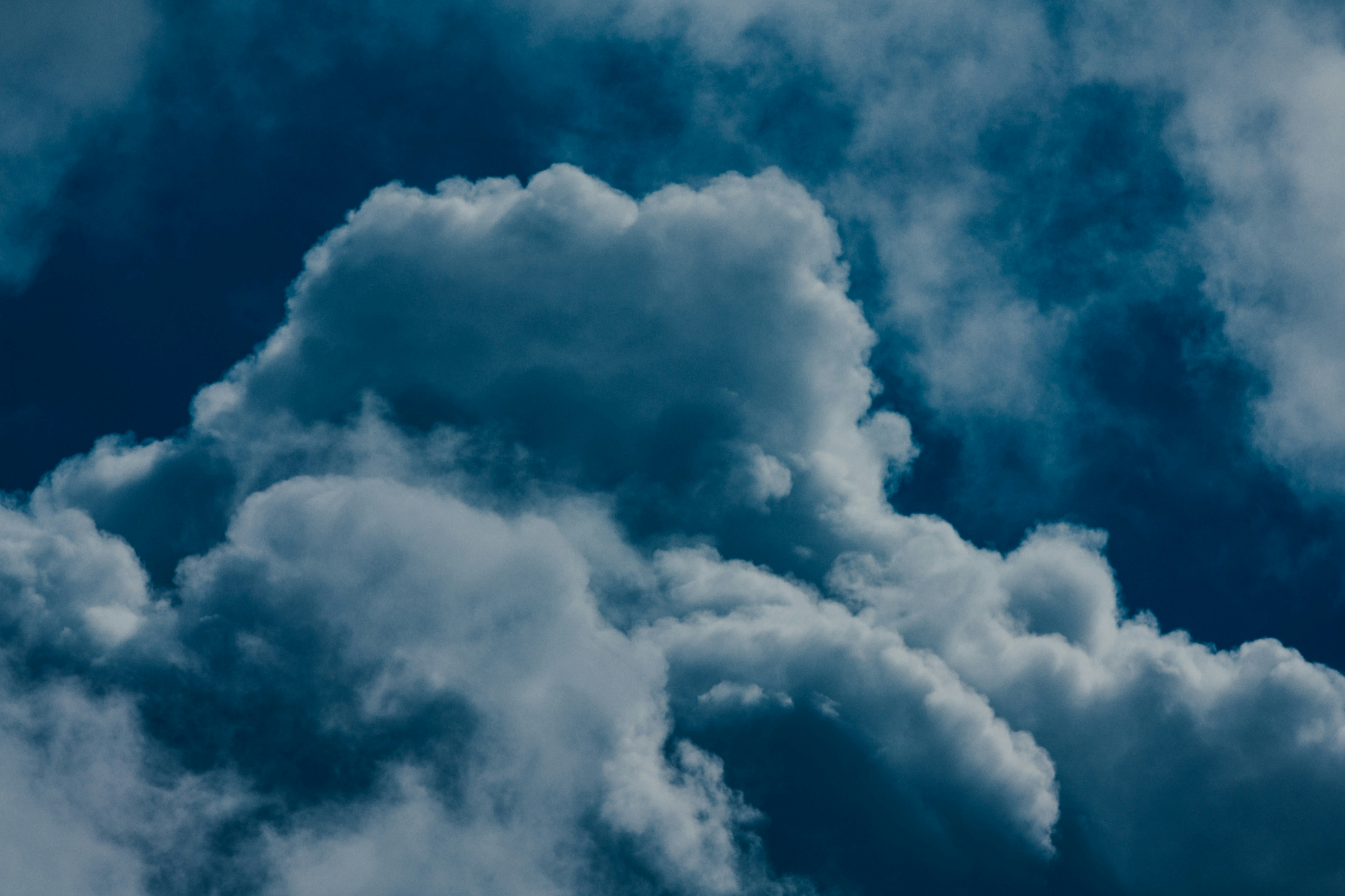 Photo by chuttersnap