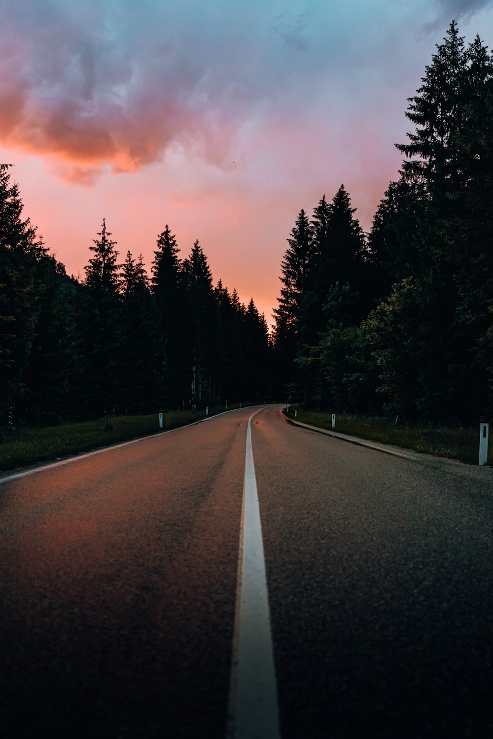 gray concrete road between green trees under cloudy sky during daytime