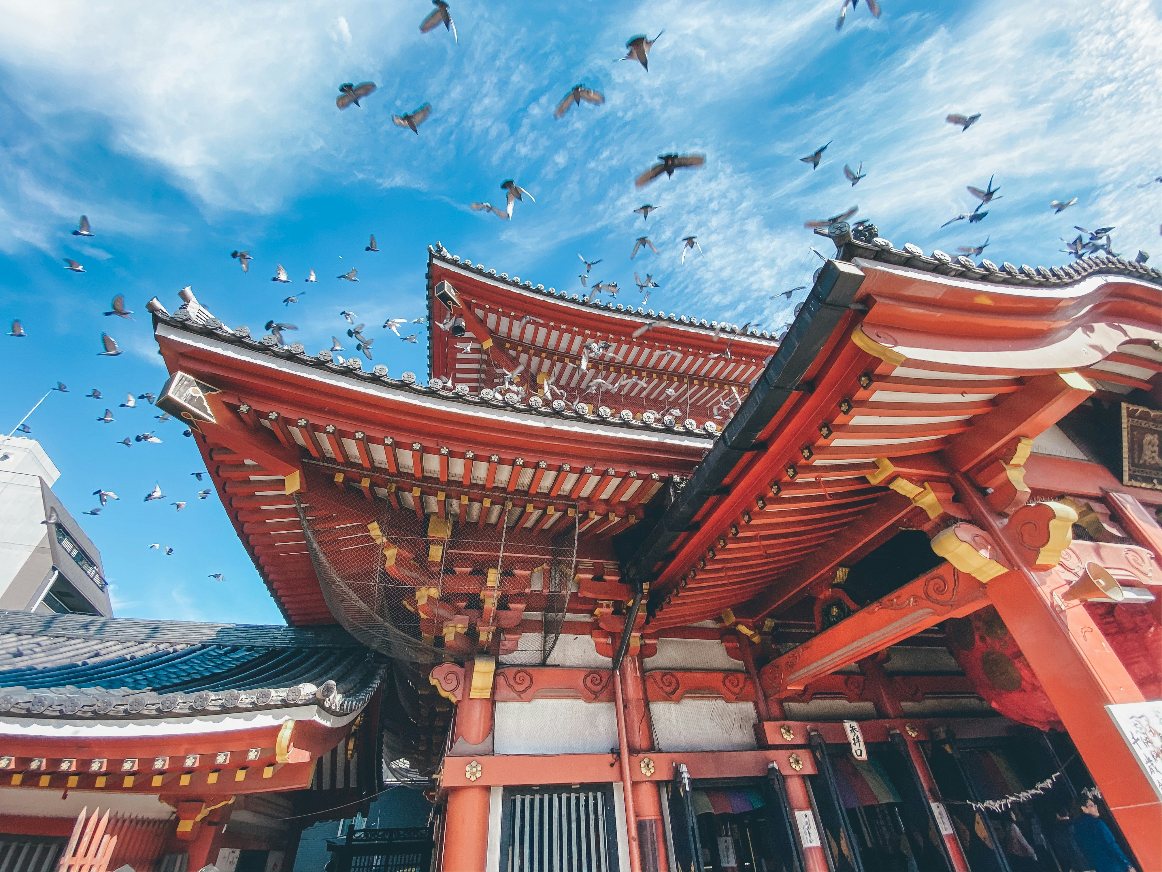 NGO destination photo