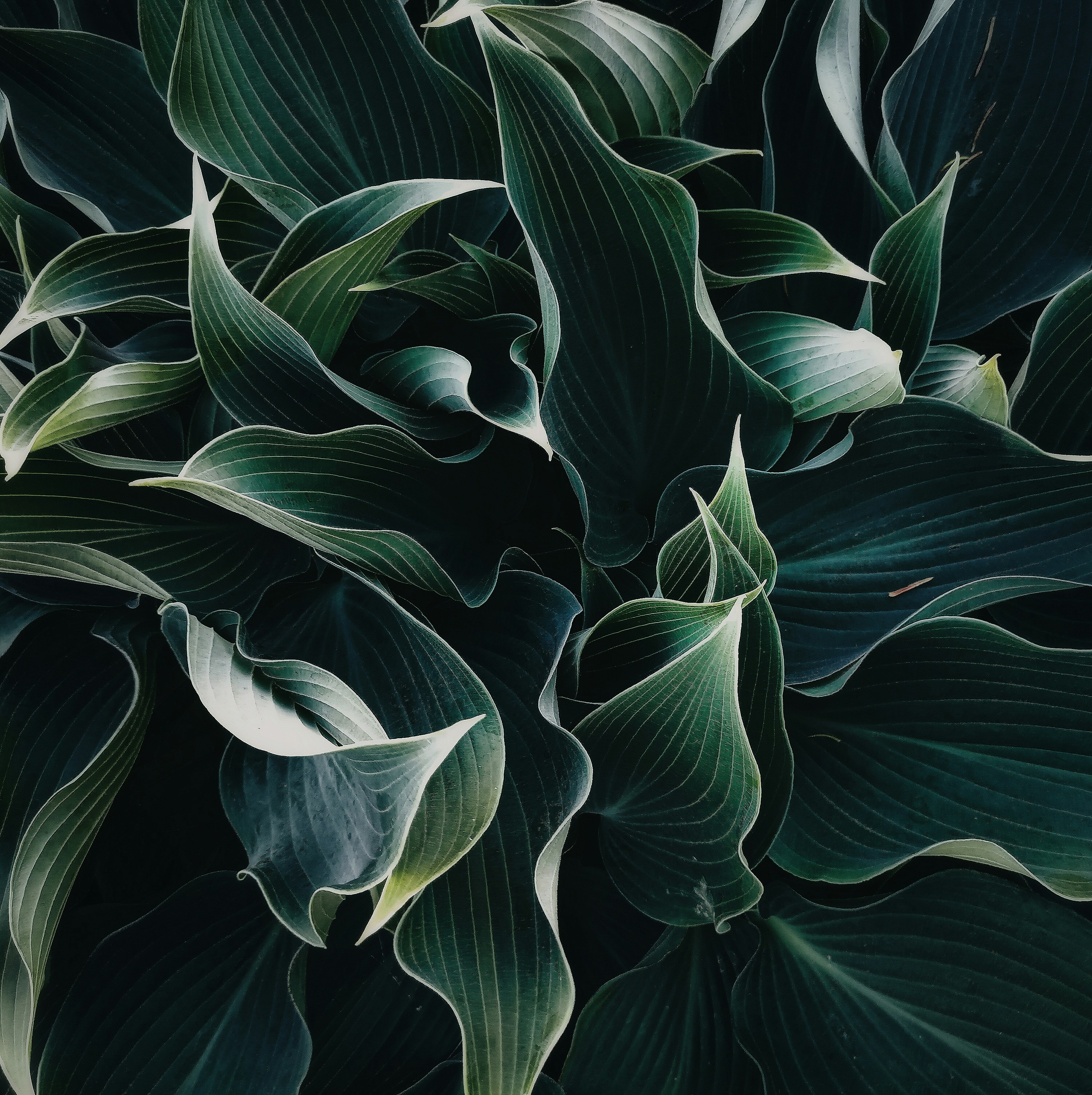 HireVue One-Way Interview Prep for Corporate Jobs