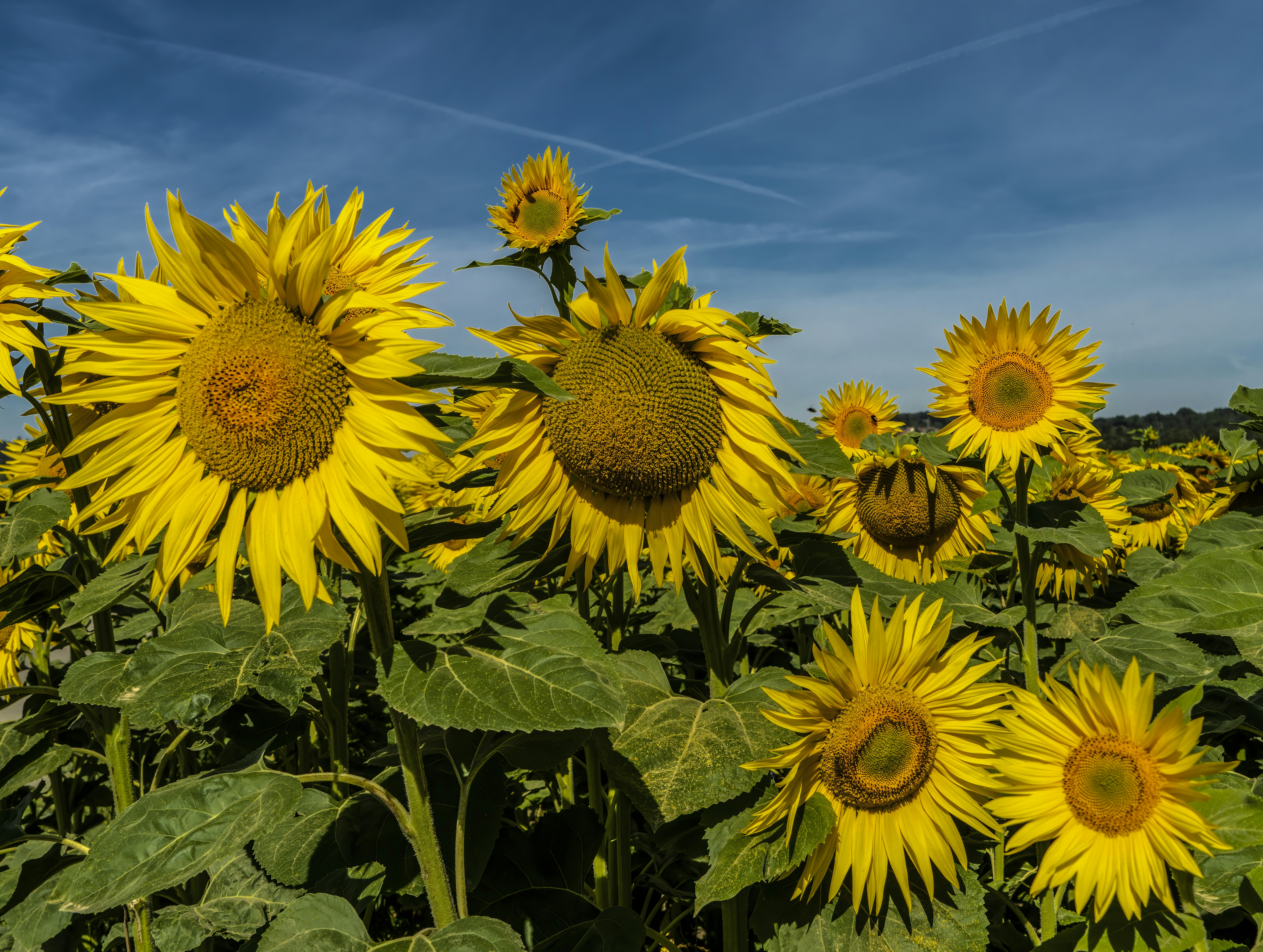 Photo by rgaleriacom