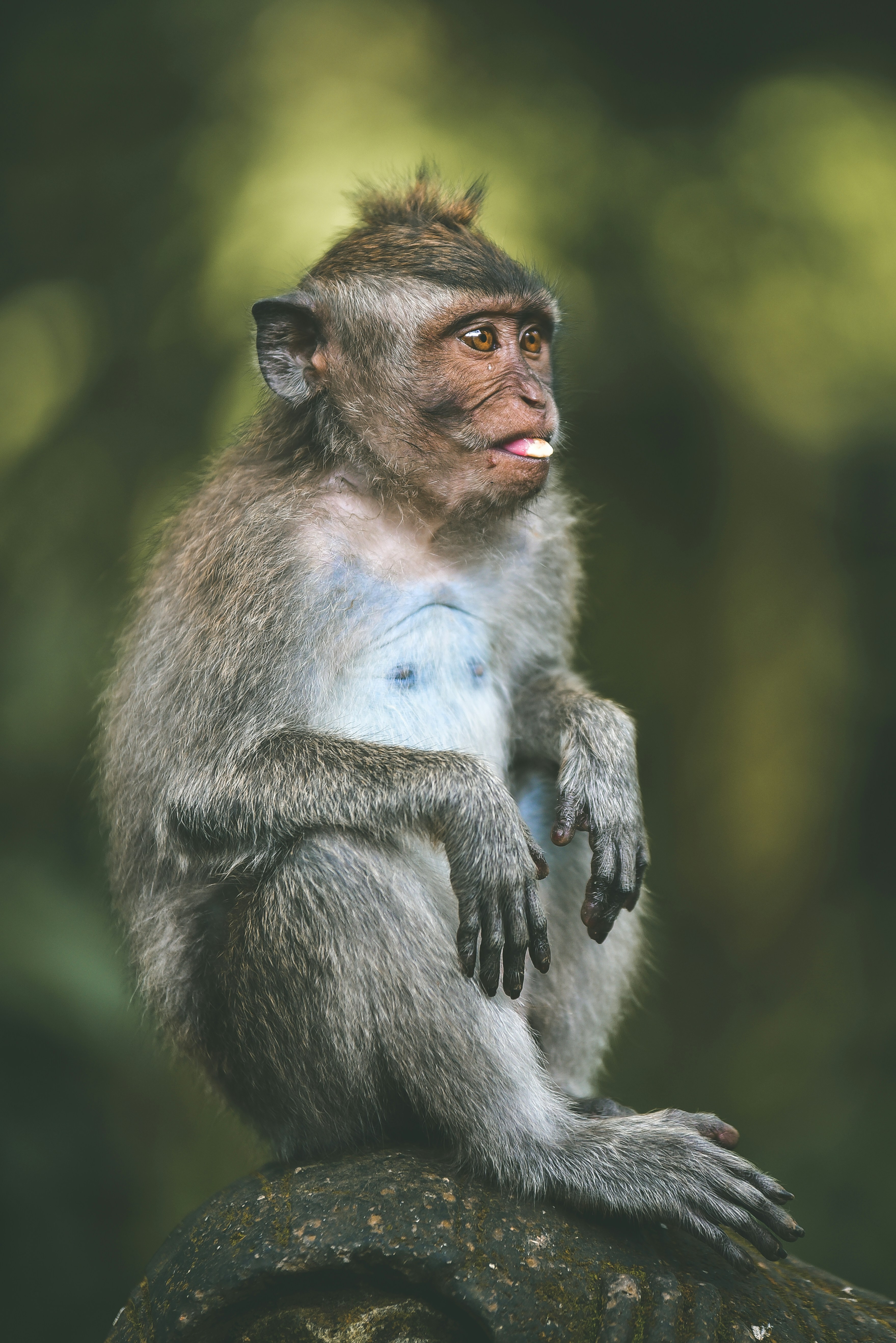 Photo by brandknewme