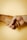 Close-up of a handshake between client and insurance broker symbolizing partnership.