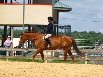 A person is riding a chestnut horse in an outdoor arena. The rider is wearing equestrian attire, including a helmet and formal riding jacket. Another person is seen in the background wearing casual clothes and a hat. The setting is sunny with visible greenery in the distance.