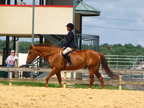 A person is riding a chestnut horse in an outdoor arena. The rider is wearing equestrian attire, including a helmet and formal riding jacket. Another person is seen in the background wearing casual clothes and a hat. The setting is sunny with visible greenery in the distance.