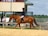 A person is riding a chestnut horse in an outdoor arena. The rider is wearing equestrian attire, including a helmet and formal riding jacket. Another person is seen in the background wearing casual clothes and a hat. The setting is sunny with visible greenery in the distance.