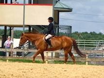 A person is riding a chestnut horse in an outdoor arena. The rider is wearing equestrian attire, including a helmet and formal riding jacket. Another person is seen in the background wearing casual clothes and a hat. The setting is sunny with visible greenery in the distance.