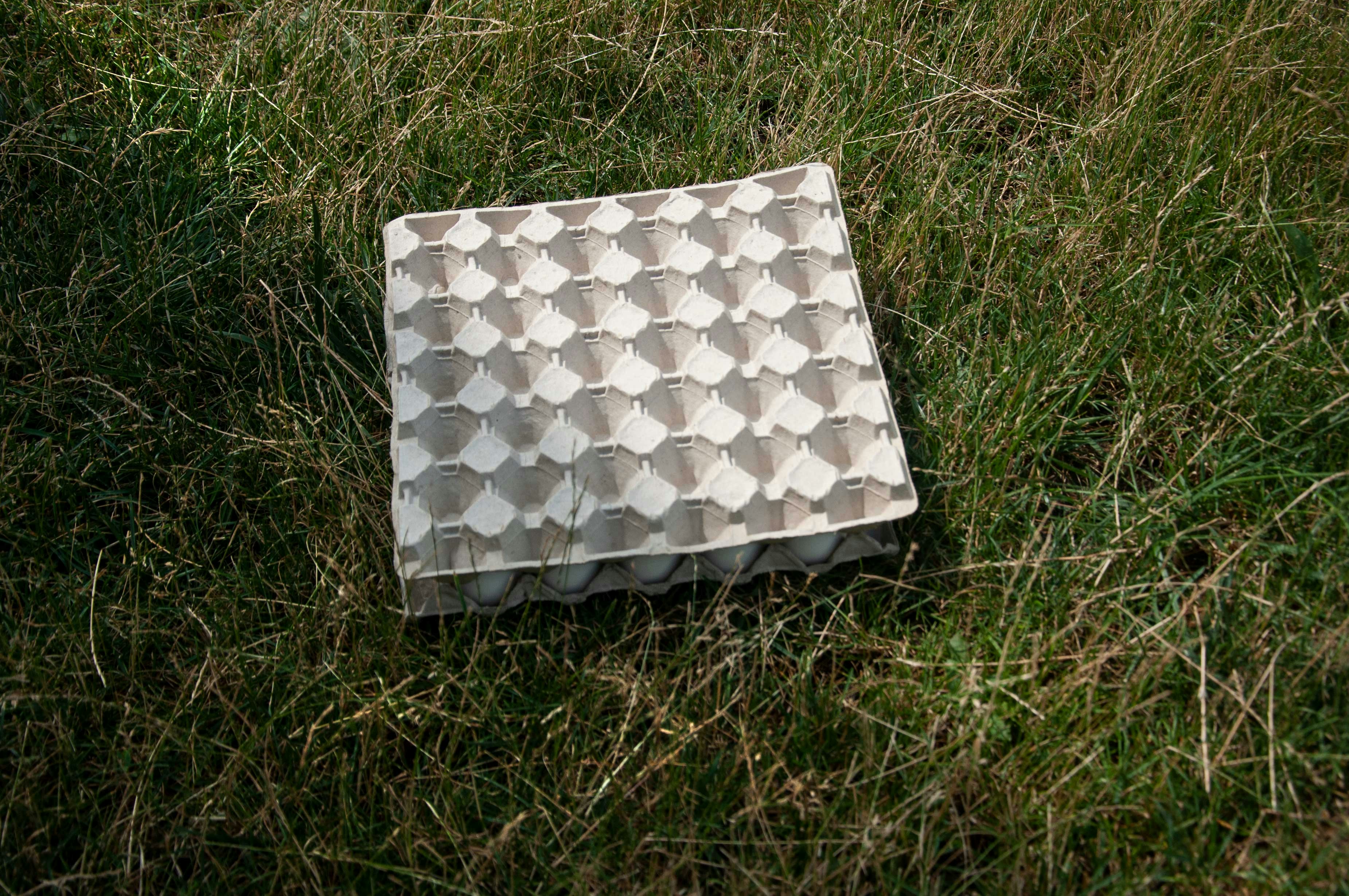white and gray checkered textile on green grass, Egg carton
