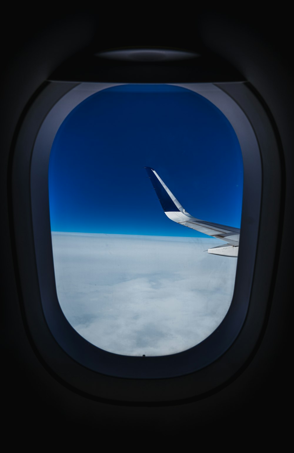 white and blue airplane wing