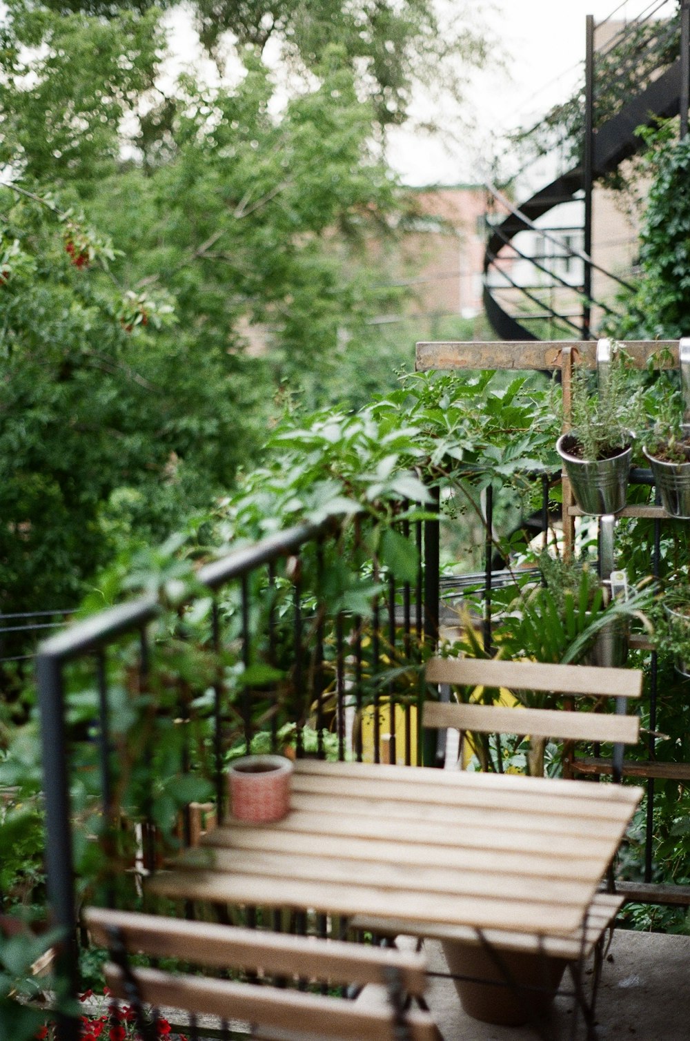 brown wooden bench near green plants during daytime