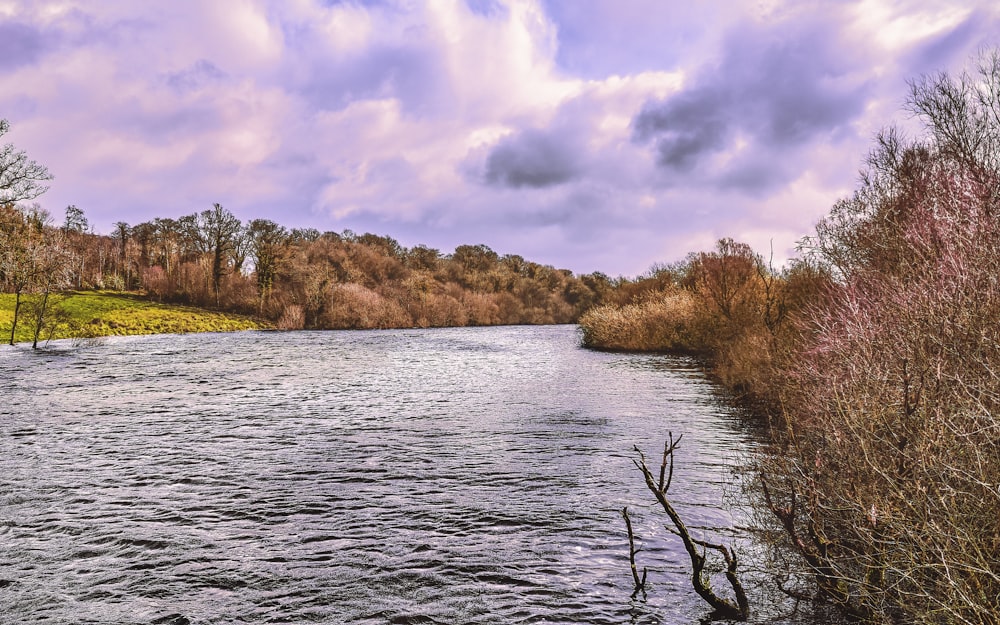 a large body of water surrounded by trees