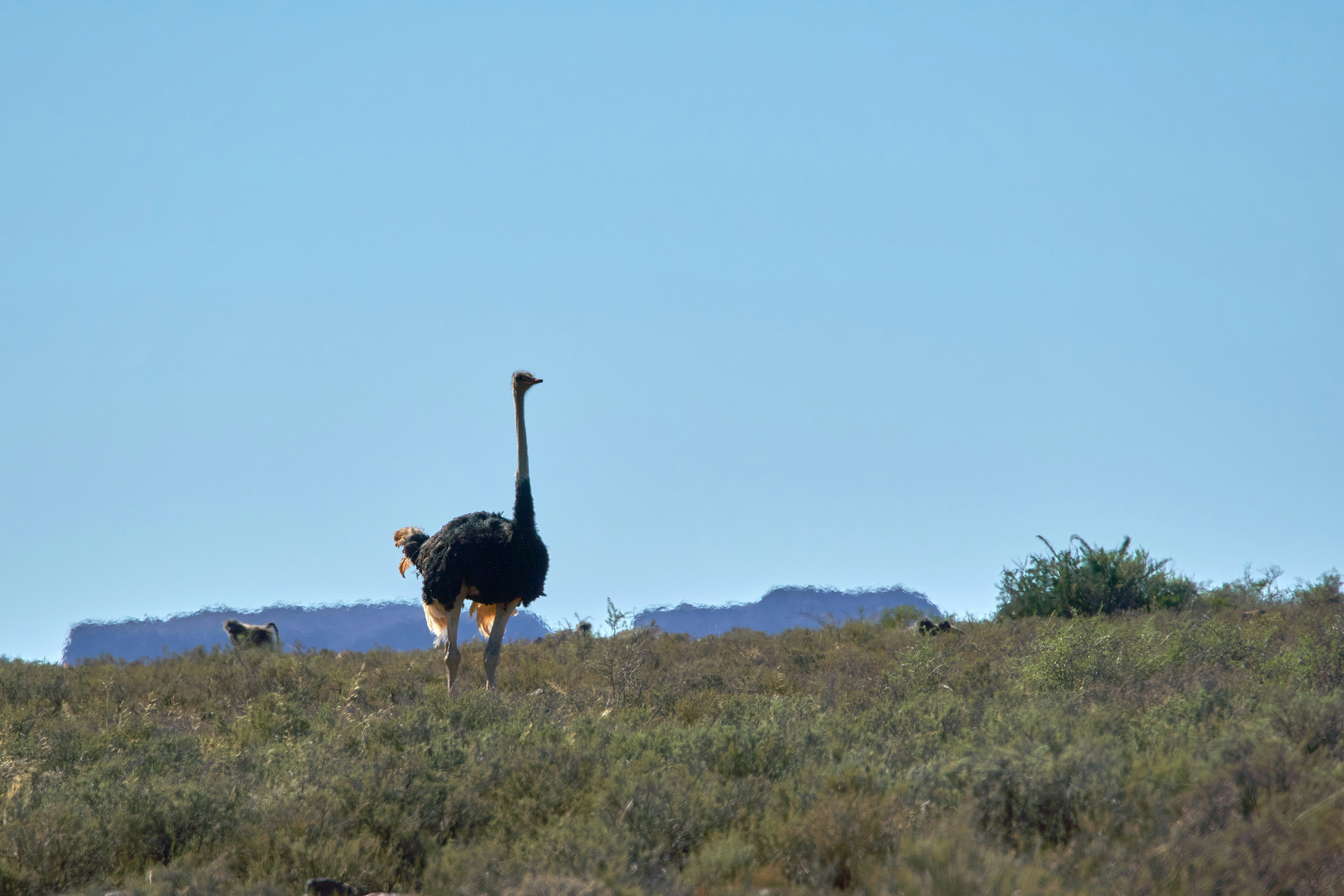 Photo by wolfgang_hasselmann