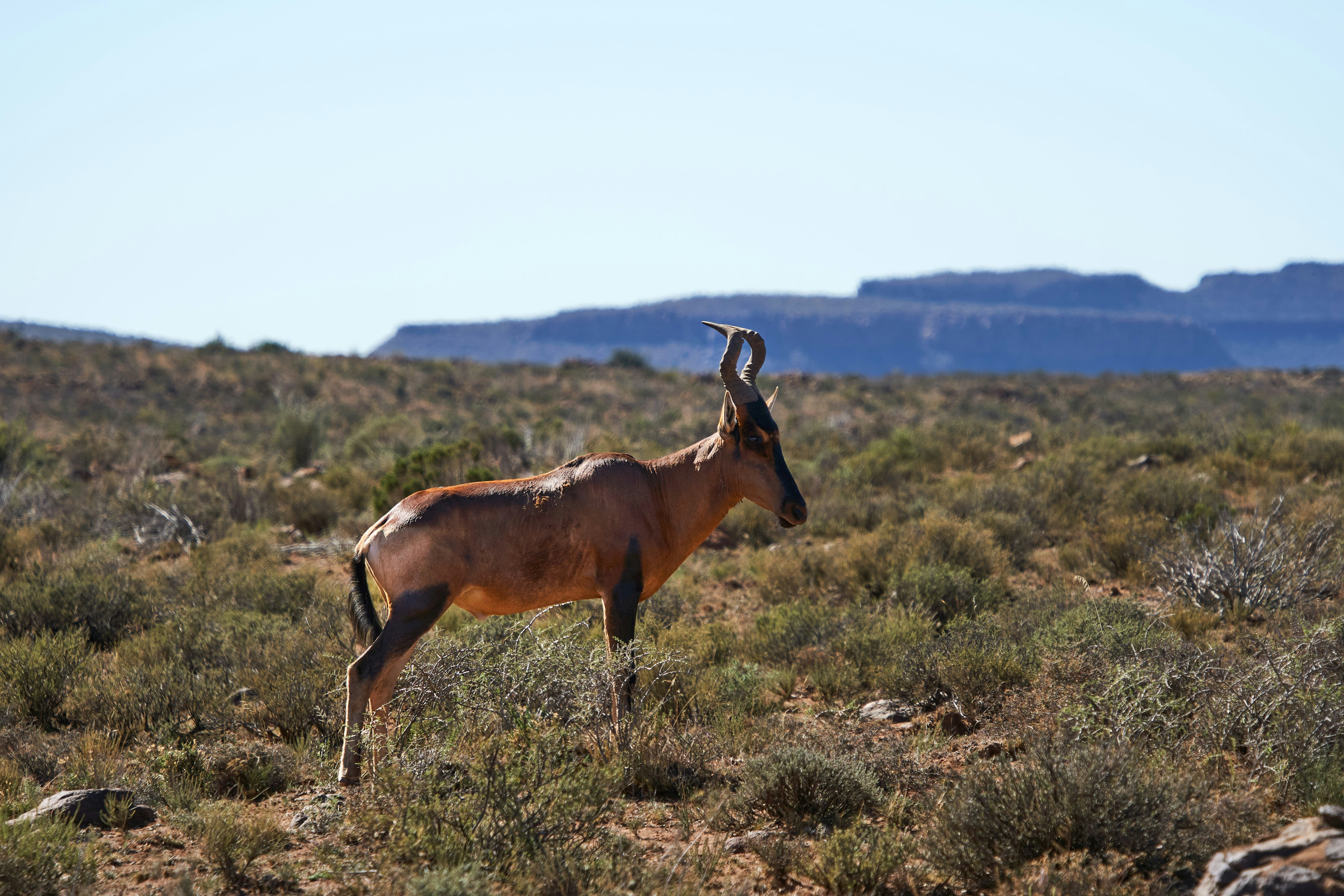 Photo by wolfgang_hasselmann