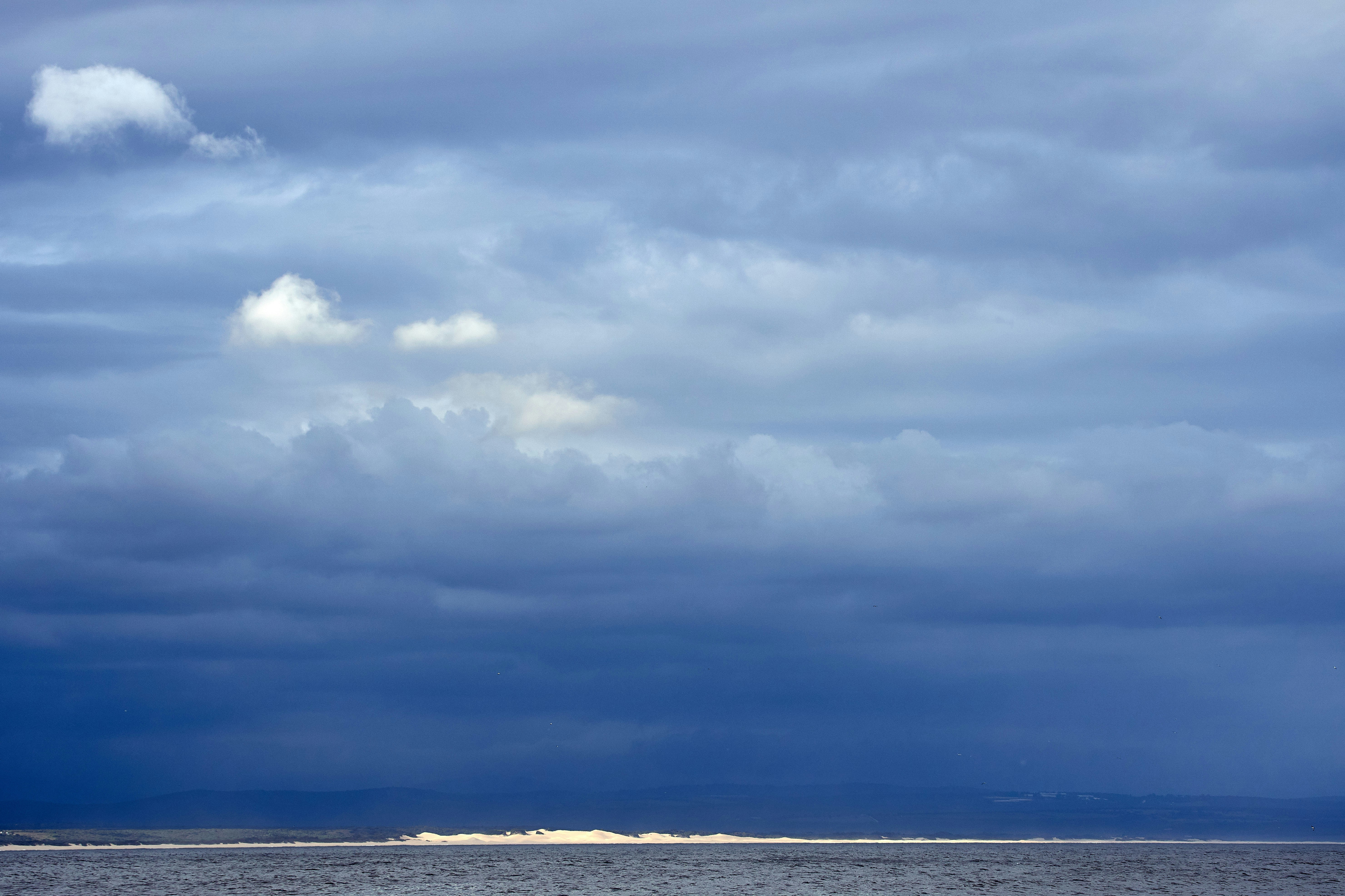 Photo by wolfgang_hasselmann