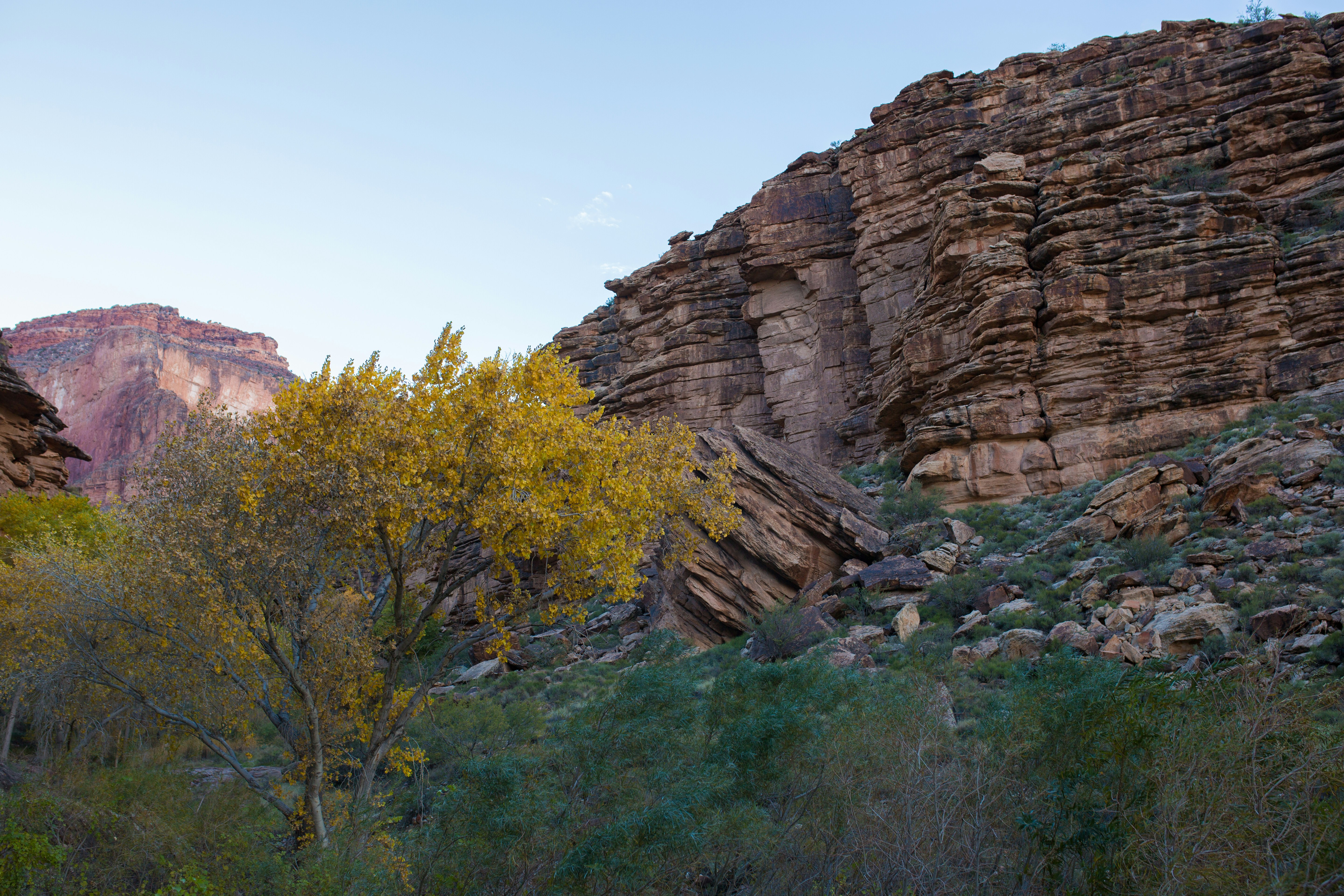 Photo by tribalvideo