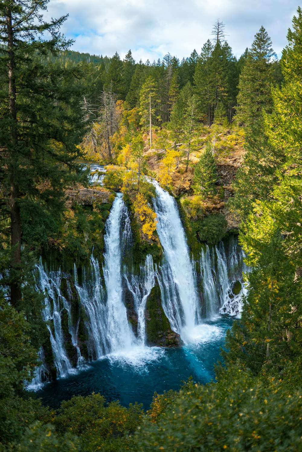 green trees beside waterfalls during daytime