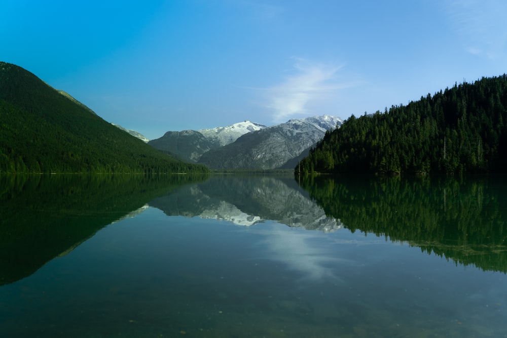 green trees near lake under blue sky during daytime