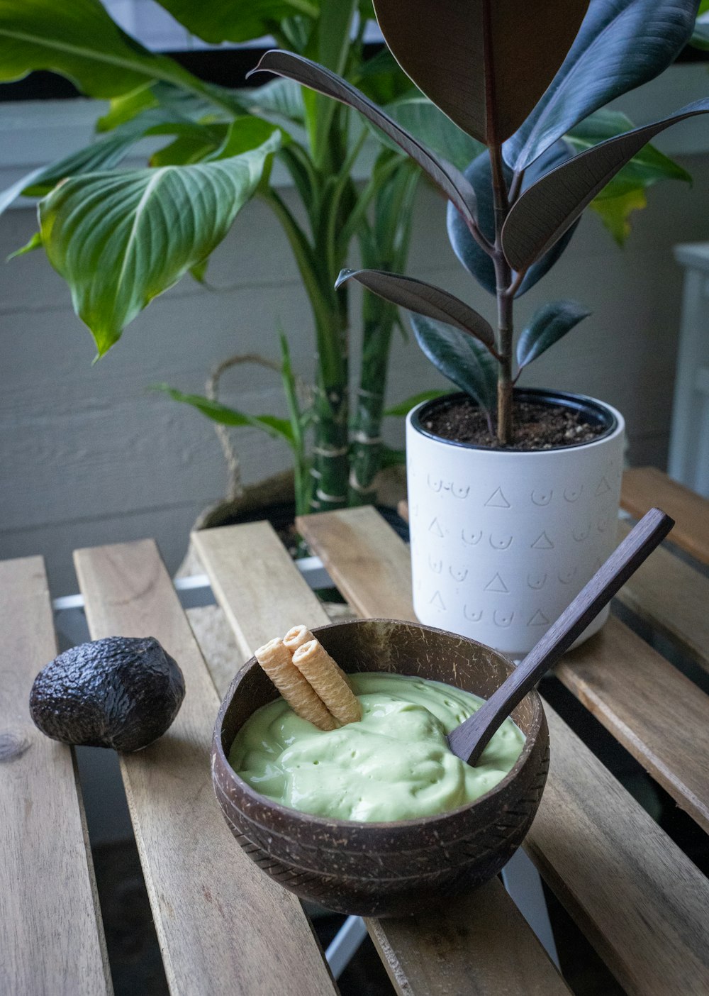 green plant in white ceramic pot