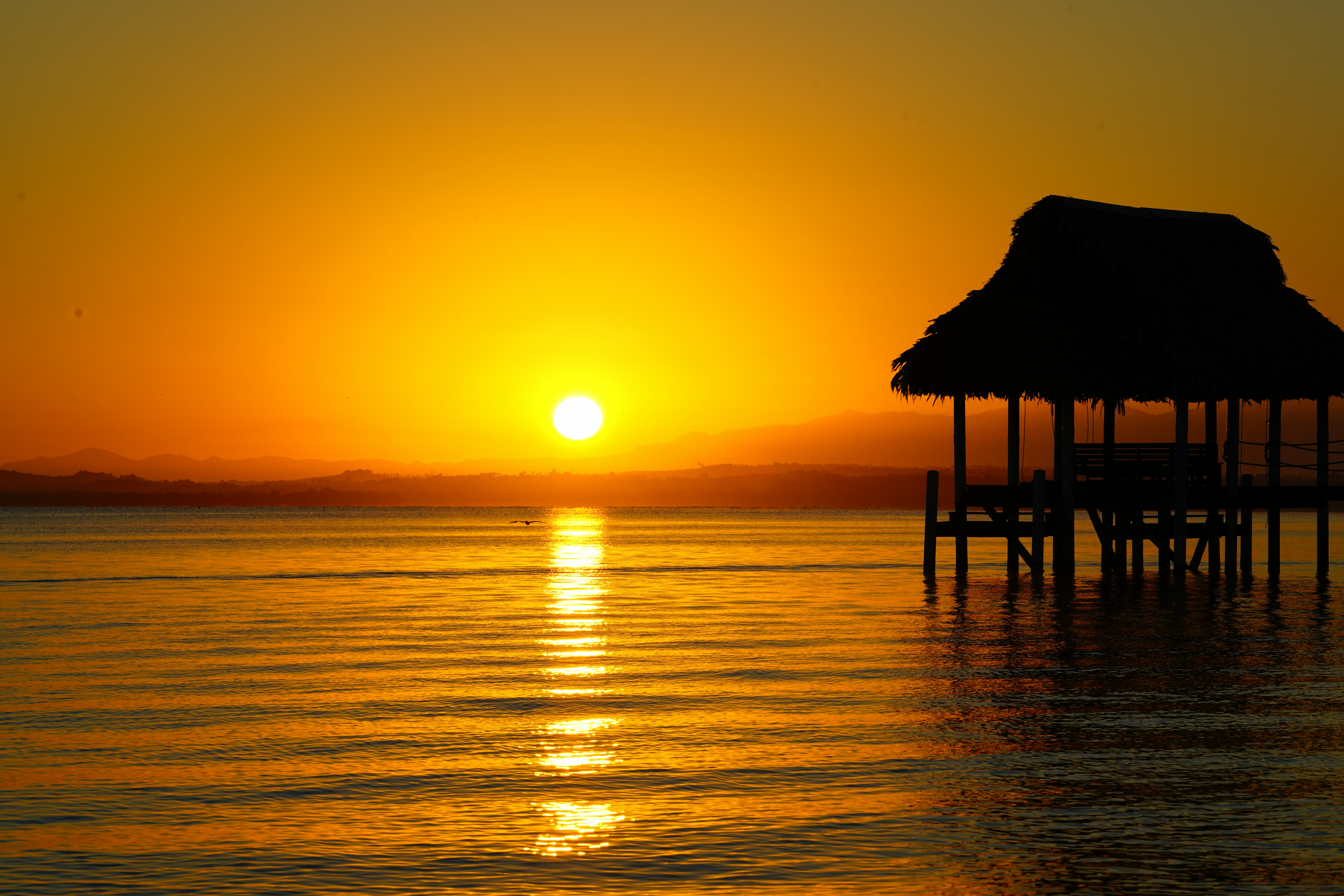 Photo by annastampfli