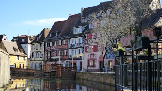 brown and white concrete building beside river during daytime in La Petite Venise France