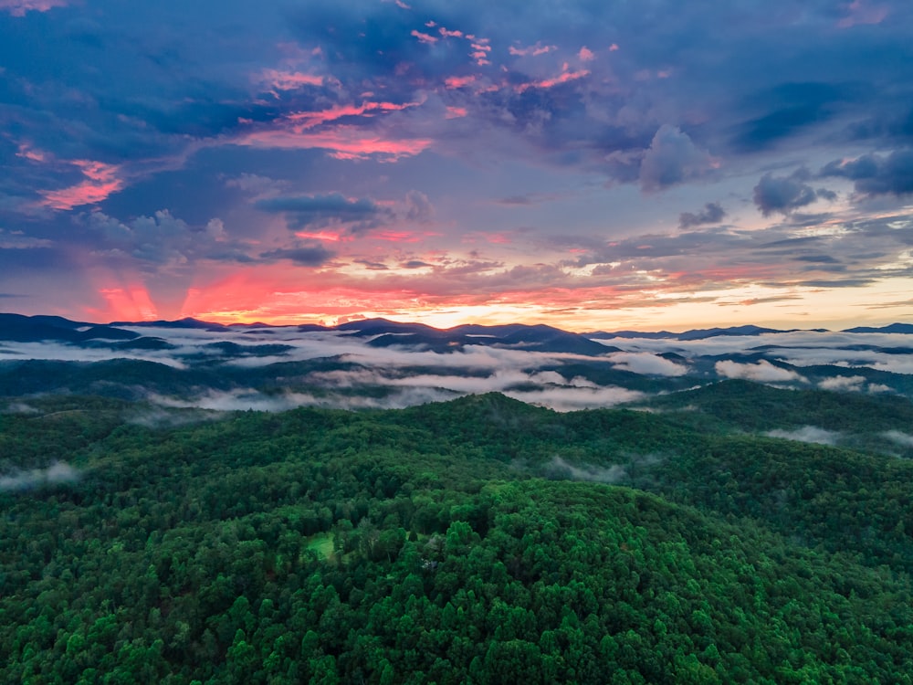 campo de hierba verde bajo el cielo nublado durante la puesta del sol