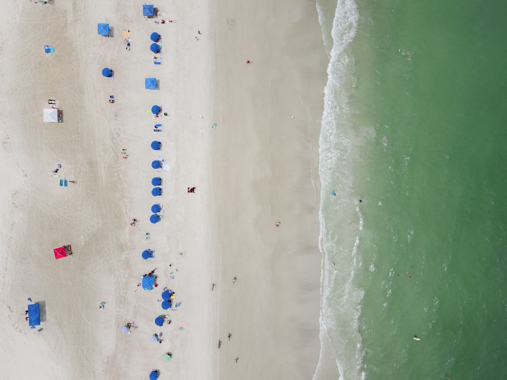 white and blue beach umbrellas on beach during daytime