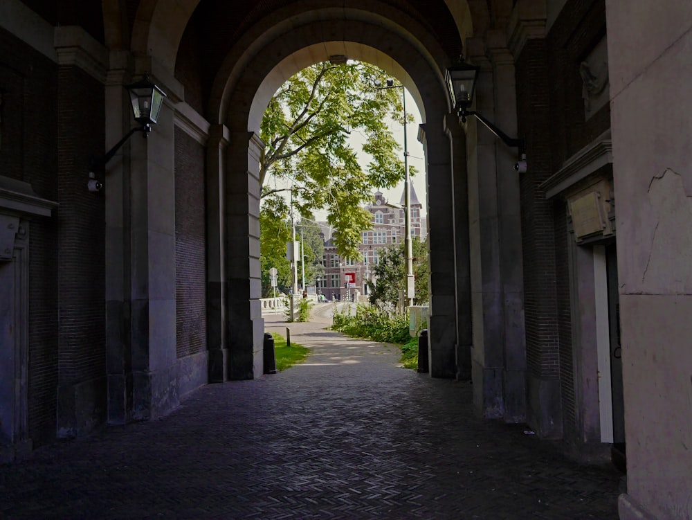 gray concrete pathway between green trees during daytime