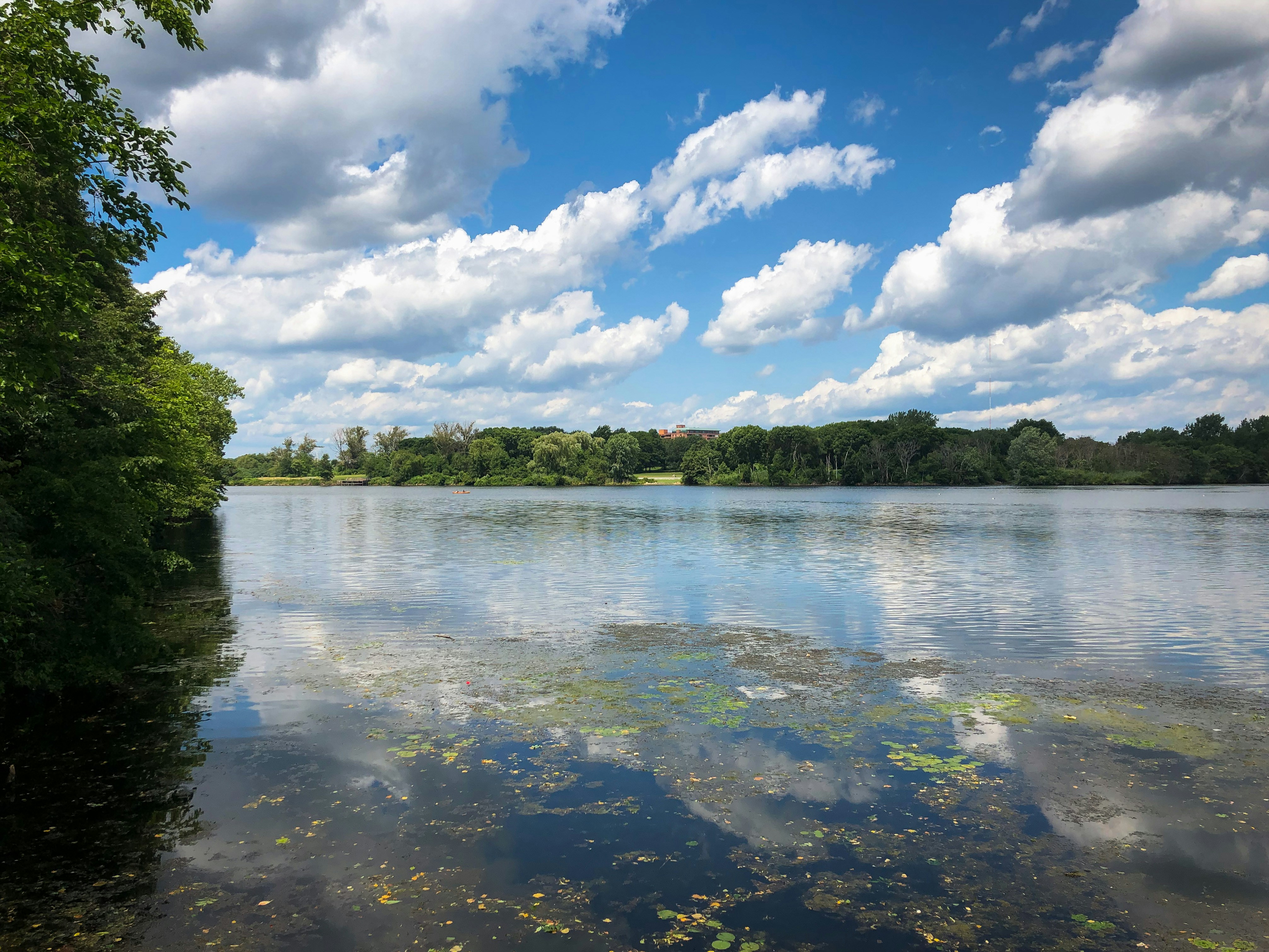 Photo by bonniekdesign