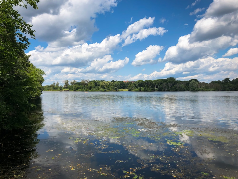 green trees beside body of water under blue sky and white clouds during daytime