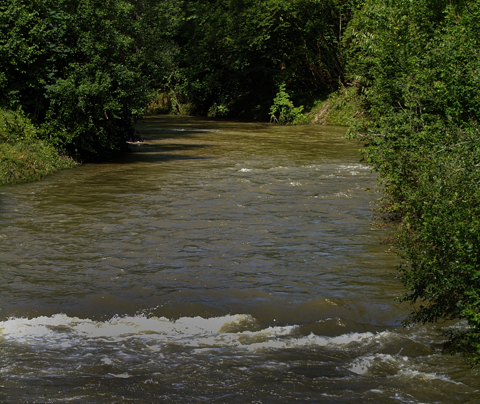 gray computer monitor