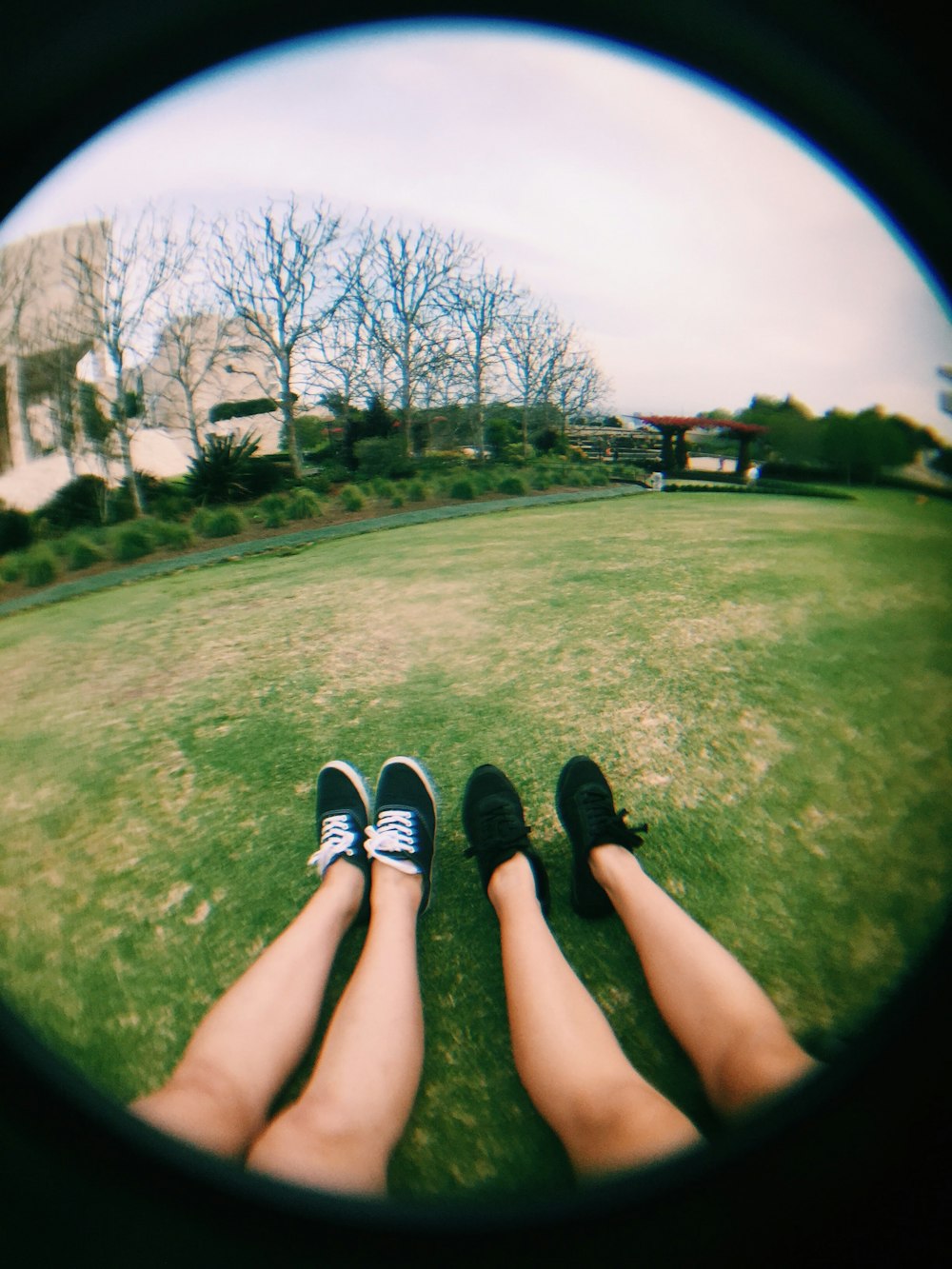 person in black and white sneakers sitting on green grass field during daytime