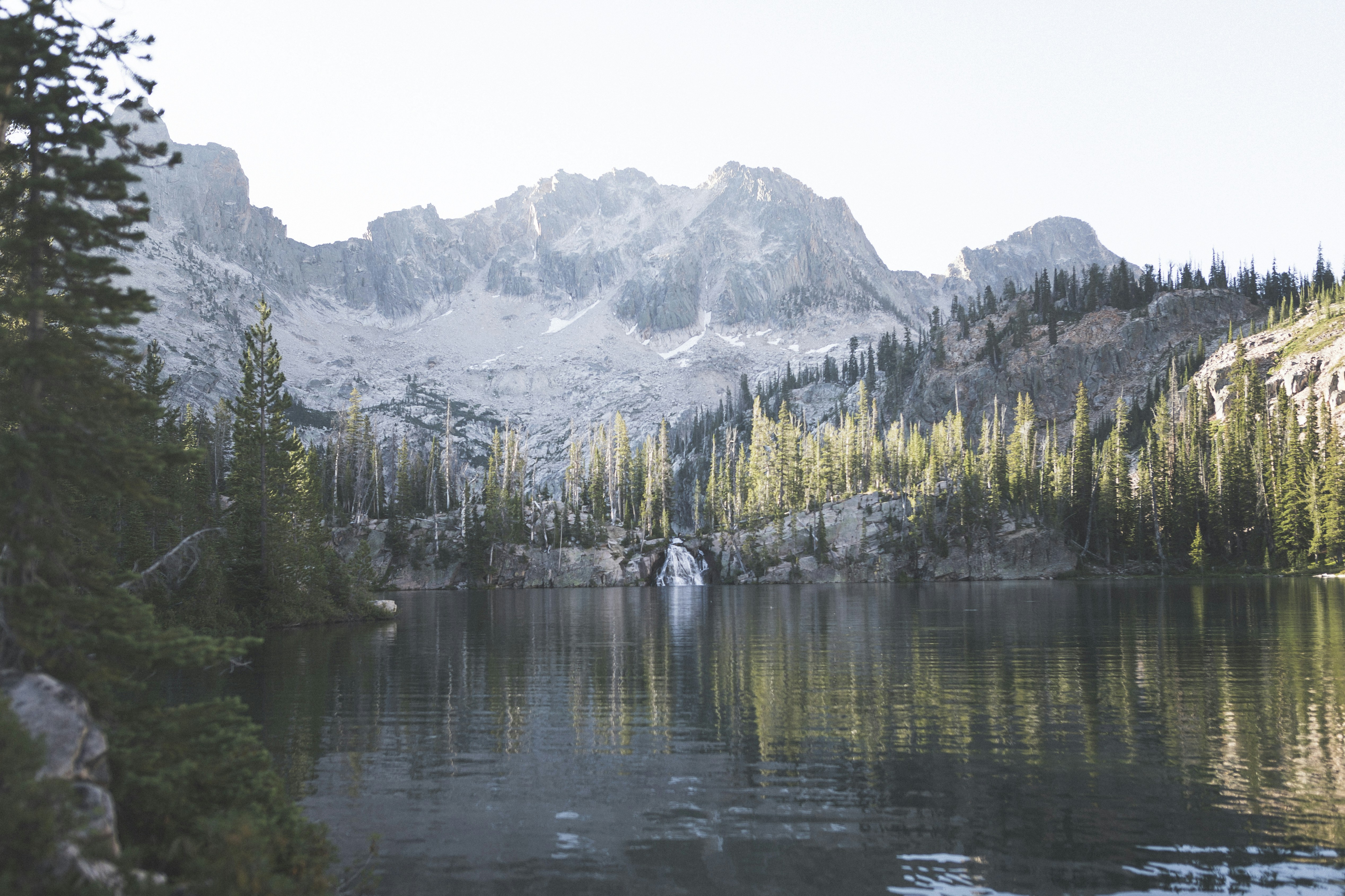 green trees near lake and mountain during daytime