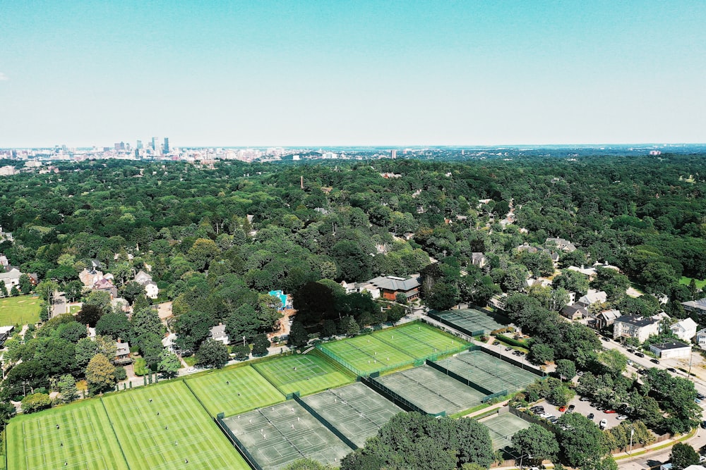 aerial view of green trees and buildings during daytime