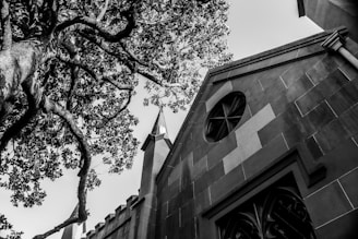 A black and white photograph featuring a large, sprawling tree with intricate branches and leaves extending towards the sky. The image also includes an old stone building with an architectural design, complete with a pointed tower and a decorative round window.