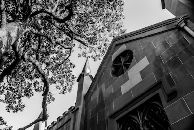 Black and white photo of university buildings with old trees.
