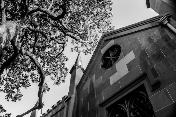 A black and white photograph featuring a large, sprawling tree with intricate branches and leaves extending towards the sky. The image also includes an old stone building with an architectural design, complete with a pointed tower and a decorative round window.