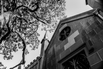 A black and white photograph featuring a large, sprawling tree with intricate branches and leaves extending towards the sky. The image also includes an old stone building with an architectural design, complete with a pointed tower and a decorative round window.