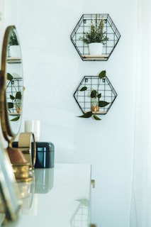 A minimalist room with two hexagonal wall-mounted shelves containing plants. The furniture appears sleek and modern with a reflective surface showing a mirror, a candle, and decorative items. The overall aesthetic is clean and contemporary.