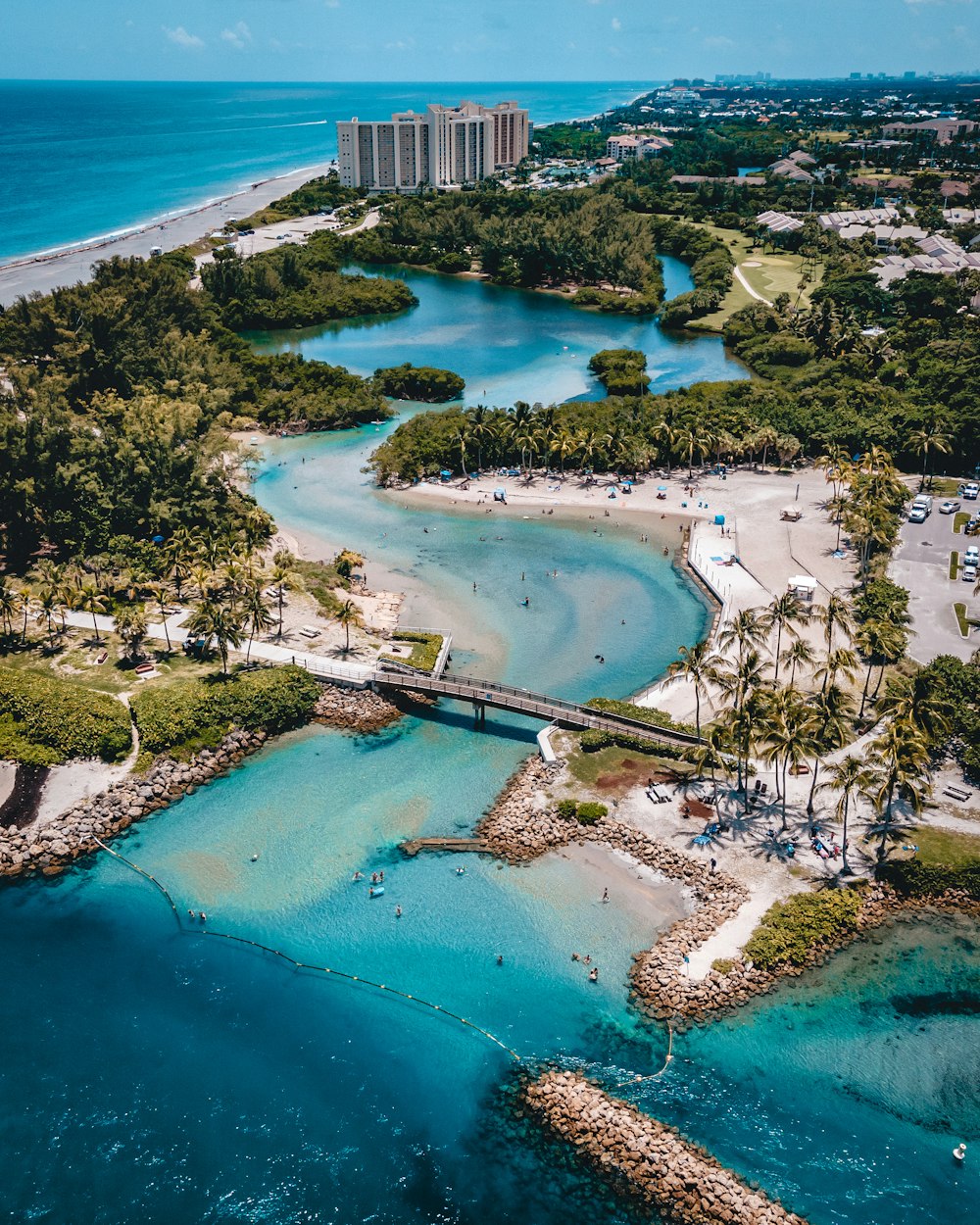 aerial view of green trees near body of water during daytime