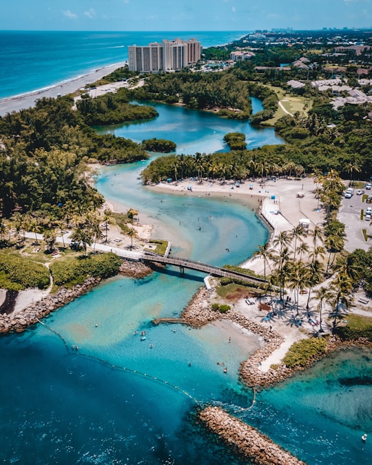 aerial view of green trees near body of water during daytime in Jupiter United States