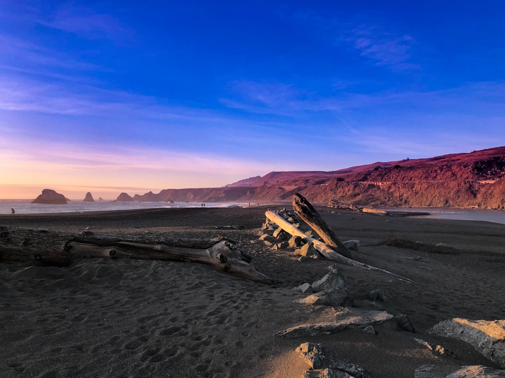 brown wooden log on brown sand during daytime