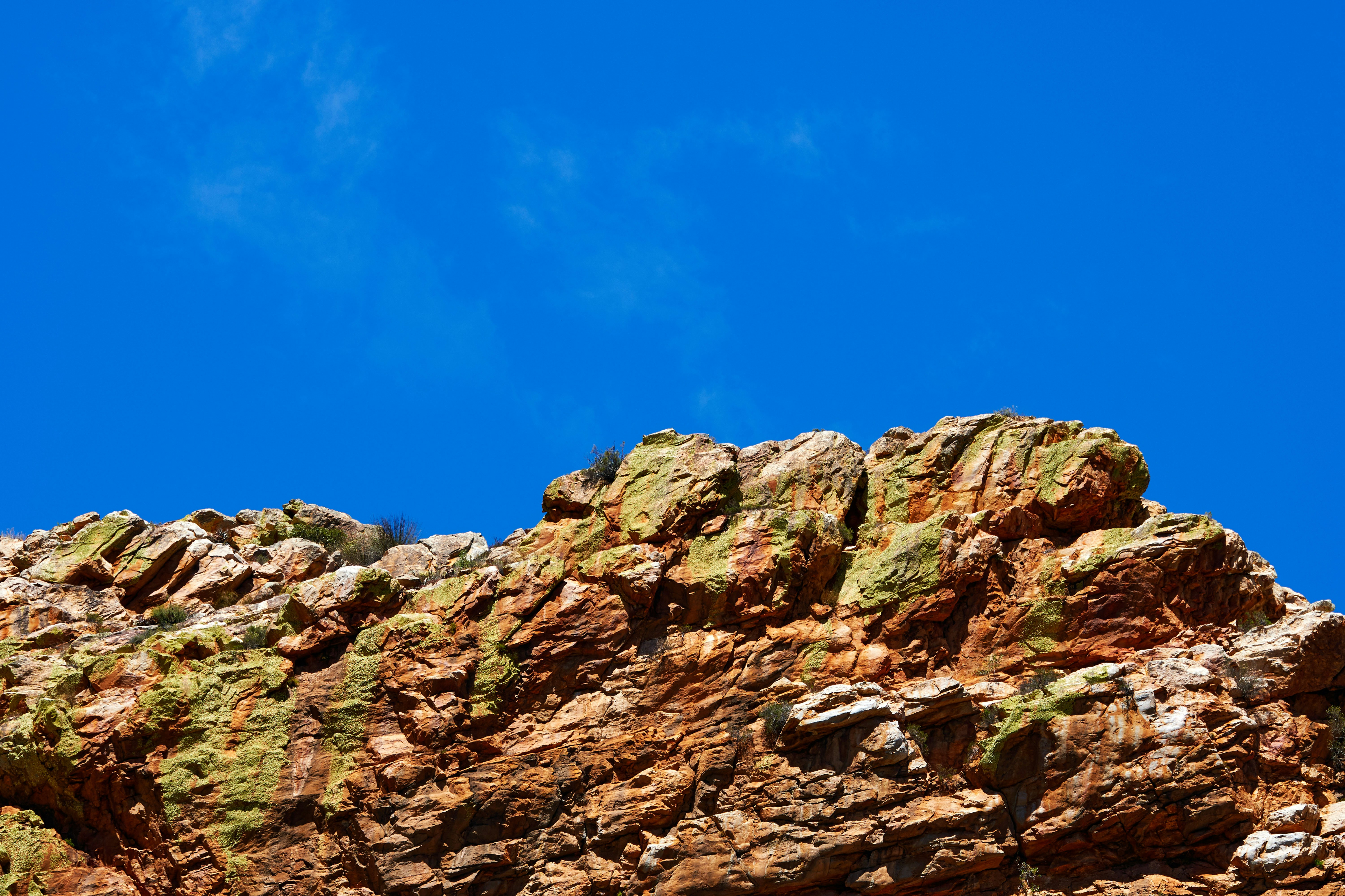 Photo by wolfgang_hasselmann