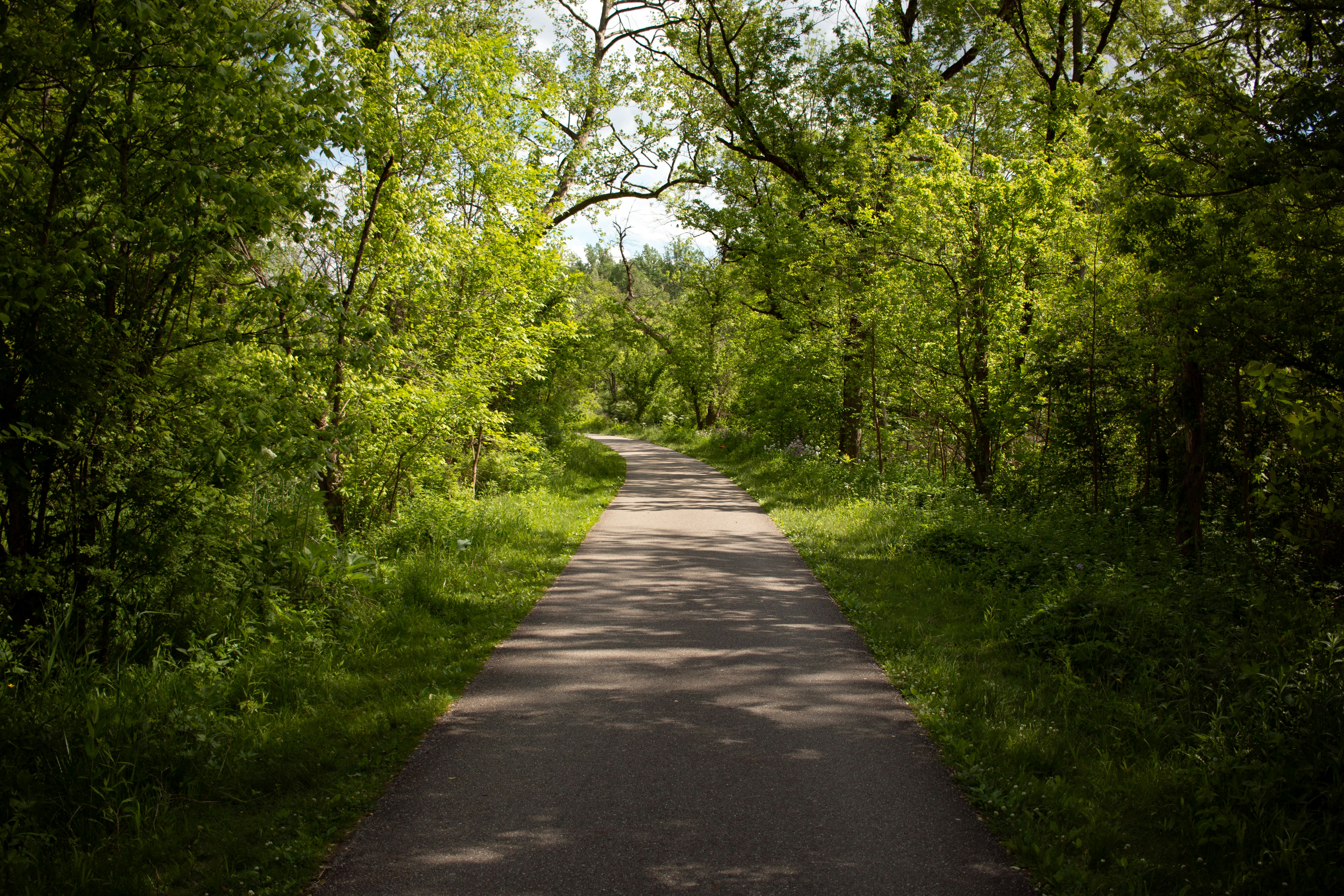 Photo by drkolomiyets