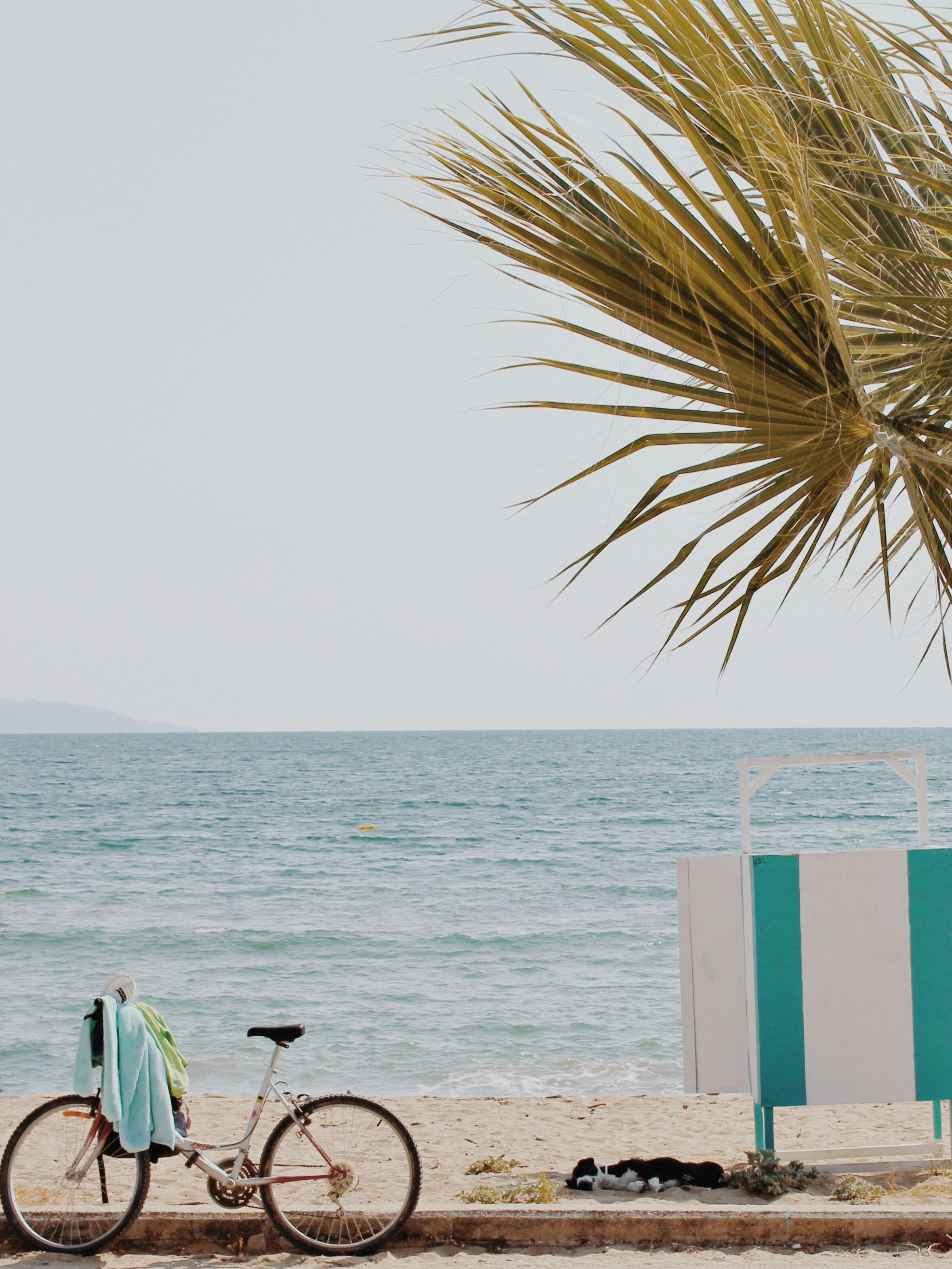 person in black shirt carrying surfboard on beach during daytime